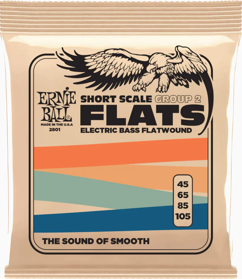 Ernie Ball EB-2801 Flatwound GR2 Short Scale Bass 45-105