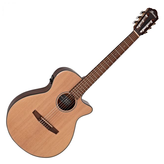 Hovedbilde Ibanez AEG50N-NT Nylon med preamp