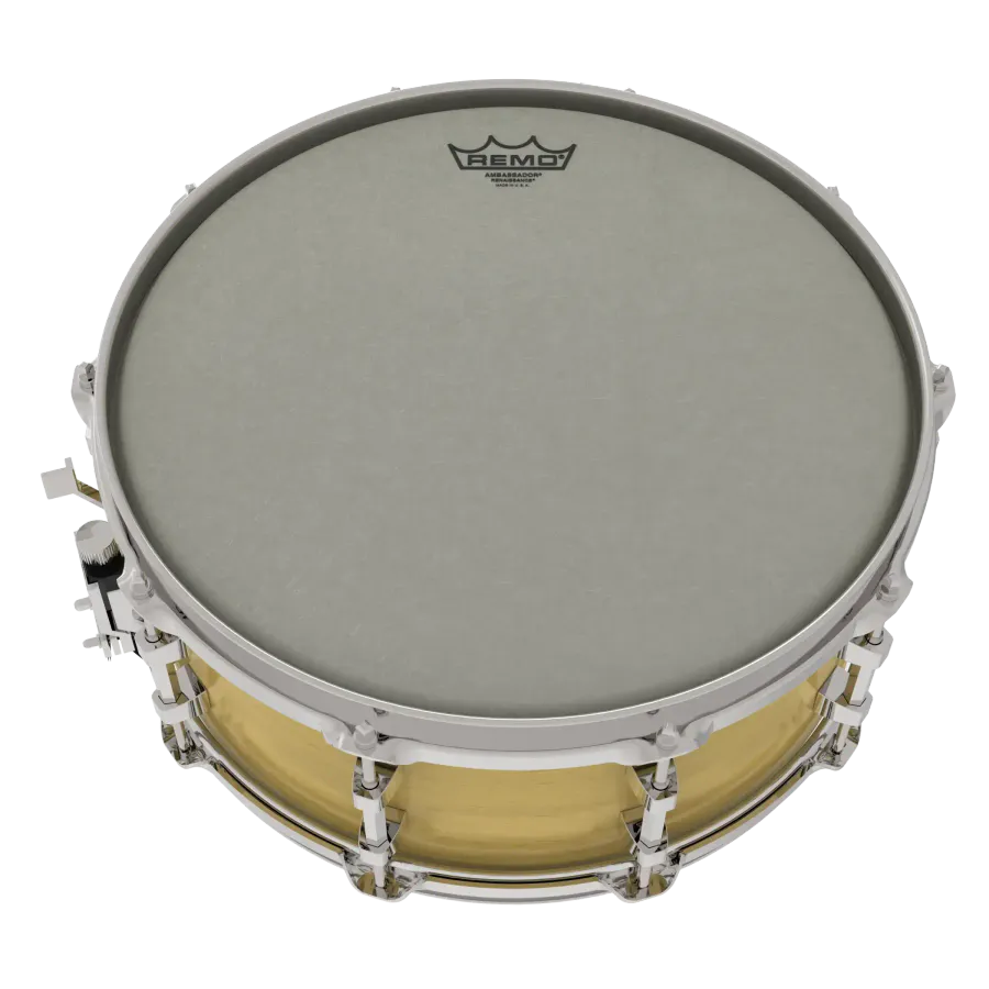 Remo Ambassador® Renaissance, 14