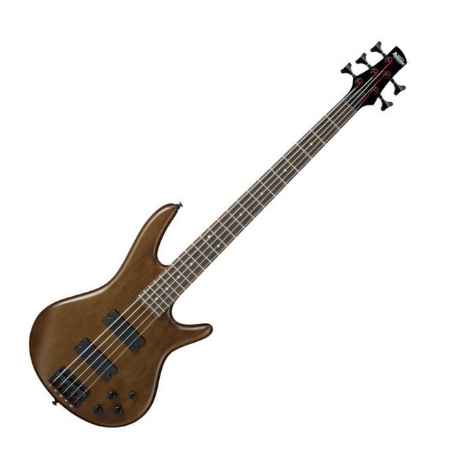 Hovedbilde Ibanez GSR205B-WNF GIO GSR