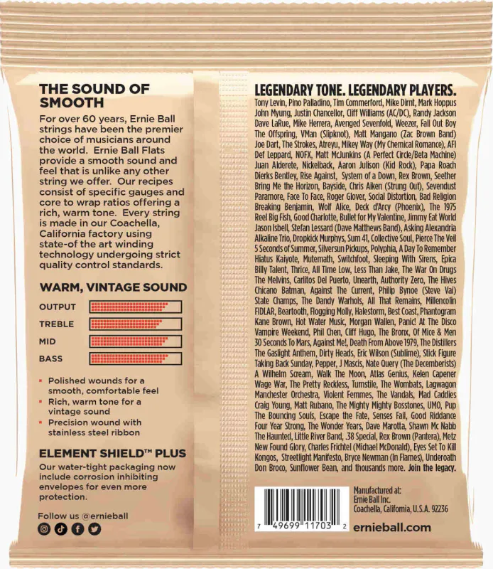 Ernie Ball EB-2801 Flatwound GR2 Short Scale Bass 45-105